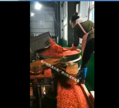 辣椒醬專用振動篩視頻